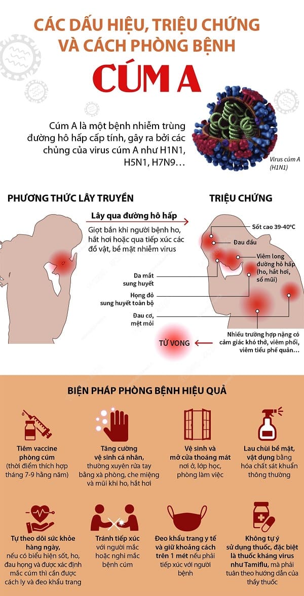 Cúm A Triệu Chứng Gì? Tìm Hiểu Chi Tiết Triệu Chứng, Nguyên Nhân Và Phòng Ngừa