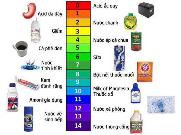 Độ pH của các chất phổ biến