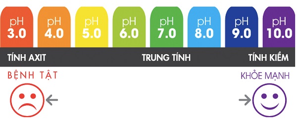 Ảnh hưởng của độ pH đối với sức khỏe