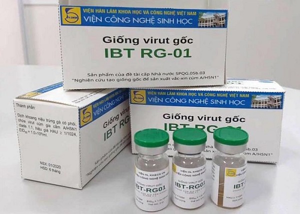 Nghiên cứu tạo giống gốc để sản xuất vắc-xin cúm A/H5N1