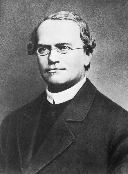 Nhà thực vật học Gregor Mendel (1822–1884)