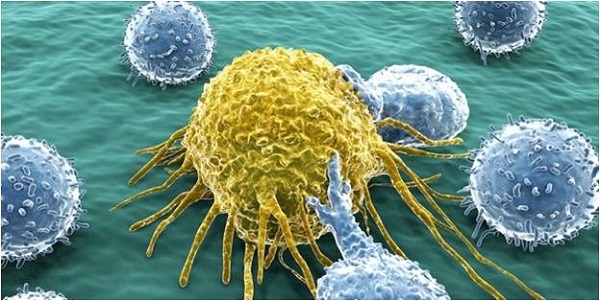 Liệu pháp miễn dịch ung thư có thể gây hại cho khả năng sinh sản