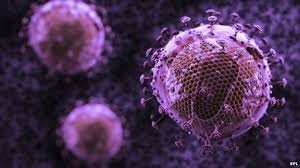 Lần đầu tiên “xóa sổ” virus HIV khỏi tế bào của người