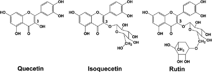 Chuyển hóa rutin thành isoquercetin bằng vi sinh vật và ứng dụng làm nguyên liệu thực phẩm chức năng