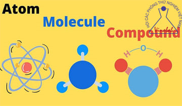 Hóa học lớp 8: So sánh nguyên tử và phân tử, nguyên tử khối  là gì