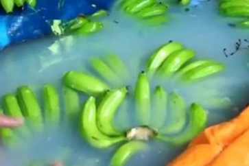 Biến chuối xanh thành chín bằng các hóa chất độc hại