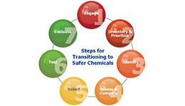 Bộ chuyển đổi sử dụng an toàn hóa chất: Bộ công cụ dành cho chủ sử dụng lao động và người lao động