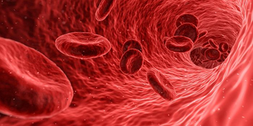 Hướng điều trị thiếu máu mới ở bệnh bạch cầu lymphocytic mãn tính