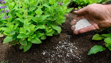 Lượng giá thiệt hại về môi trường do sự cố hoá chất độc trong sản xuất phân bón và hoá chất bảo vệ thực vật