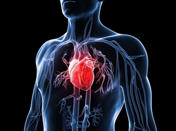 8 thói quen tốt nên duy trì để tăng cường sức khỏe tim mạch
